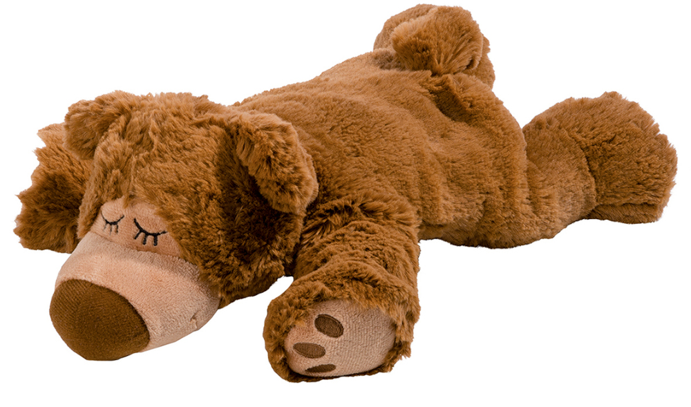 online | Stück 1 braun Warmies Bear kaufen Sleepy