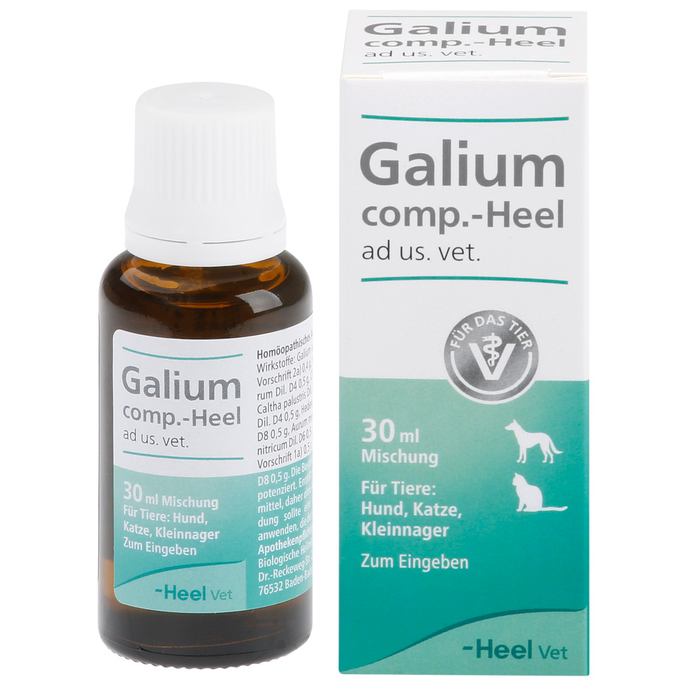 Galium comp.-Heel ad us. vet. Tropfen