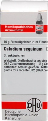 CALADIUM seguinum D 12 Globuli
