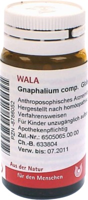 Gnaphalium comp.